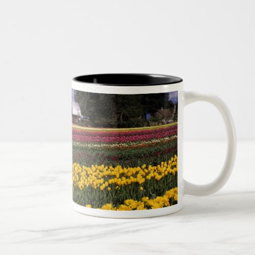 WA Skagit Valley Skagit Valley Tulip Two_Tone Coffee Mug