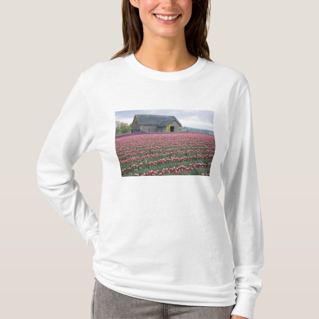 WA, Skagit Valley, Tulip Field and Barn T-Shirt (Front)