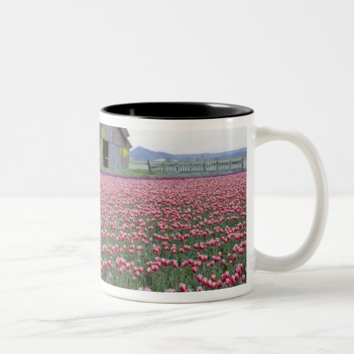 WA Skagit Valley Tulip Field and Barn Two_Tone Coffee Mug