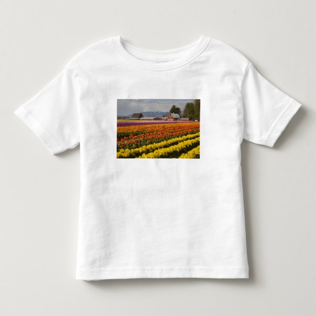 WA, Skagit Valley, Tulip fields in bloom, at Toddler T-shirt (Front)