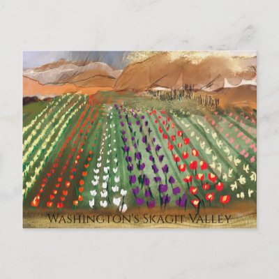 WA Skagit Valley Tulip Fields Spring Dreaming Postcard