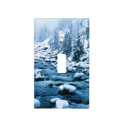 WA Wenatchee National Forest Cascade Light Switch Cover