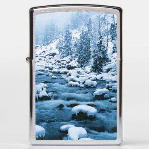 WA Wenatchee National Forest Cascade Zippo Lighter