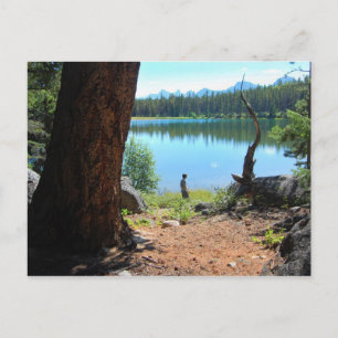 Wabasso Lake Postcard