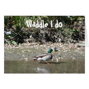 Waddle I do Cards