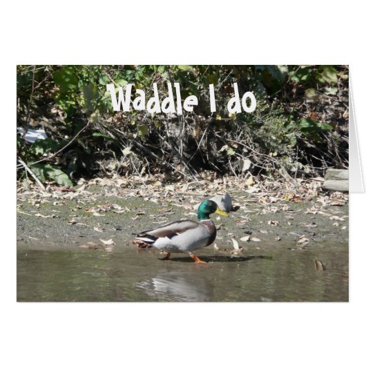Waddle I do Cards (Front Horizontal)