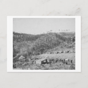 Wade and Jones Railroad Camp in Whitewood Canyon Postcard