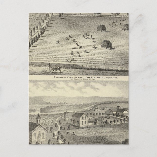 Wade ranch, Weller residence Postcard (Front)