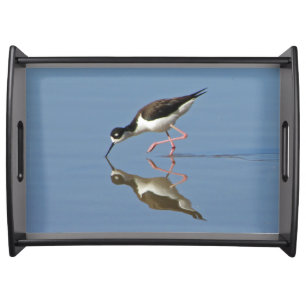 Wading Bird Calm Water Reflection Photo Nature Serving Tray