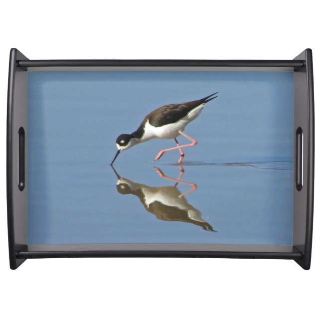 Wading Bird Calm Water Reflection Photo Nature Serving Tray (Front)