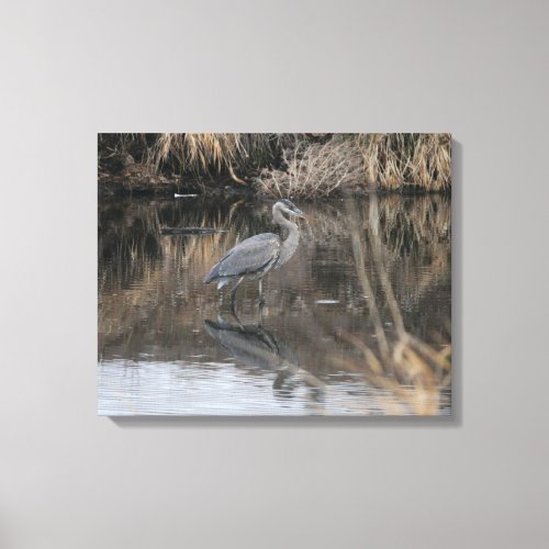 Wading Great Blue Heron Canvas Print
