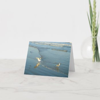 Wading Gulls Blank Note Cards by h2oWater at Zazzle