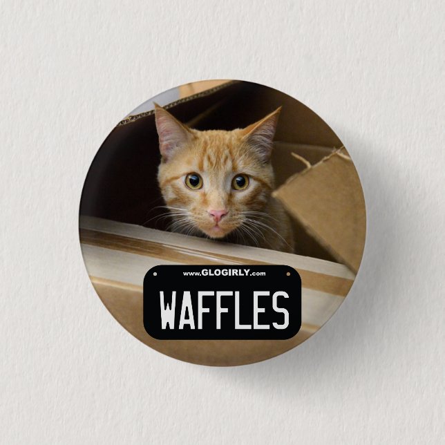 Waffles Kitty Button (Front)