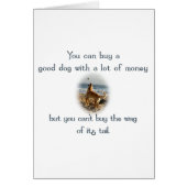 Wag of the Tail (Front)