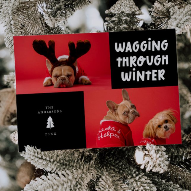 Wagging Through Winter Black Pet Photo Holiday Card (Creator Uploaded)
