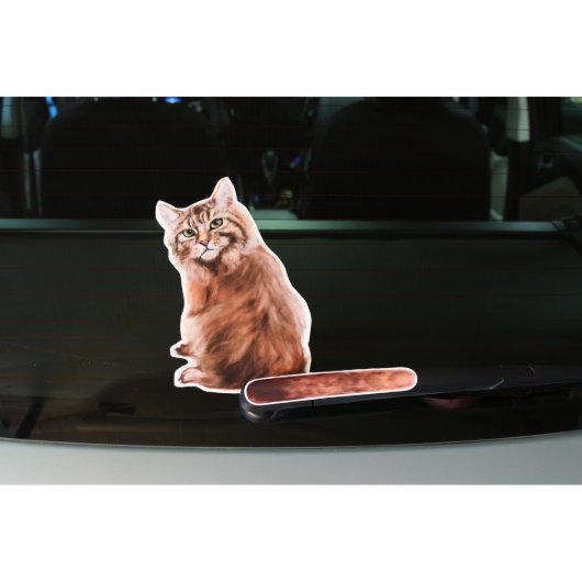 Wagging Wiper Maine Coon Cat Car Decal Sticker (As seen on car)