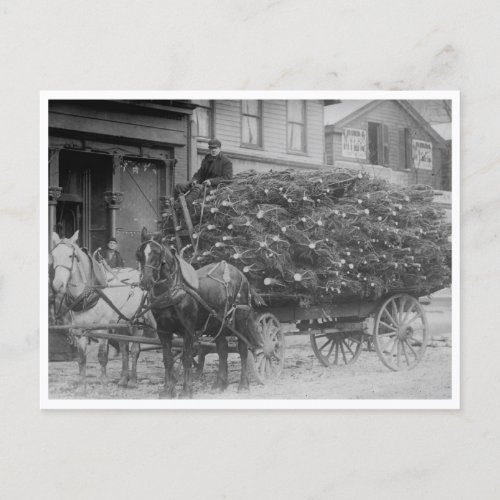 Wagon Load of Christmas Trees Postcard