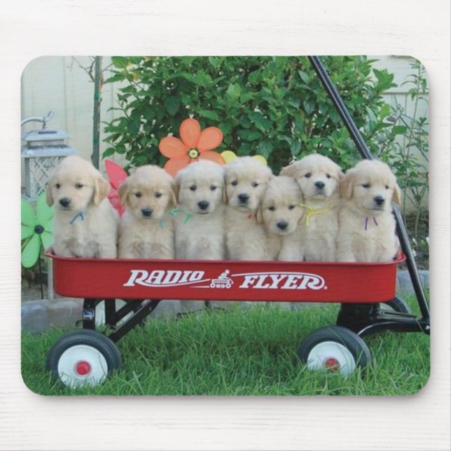 Wagon Pups Mousepad (Front)