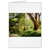 Wahiawa Botanical Garden (Front)