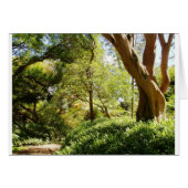 Wahiawa Botanical Garden (Front Horizontal)