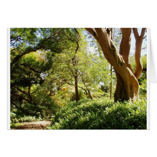 Wahiawa Botanical Garden (Front Horizontal)