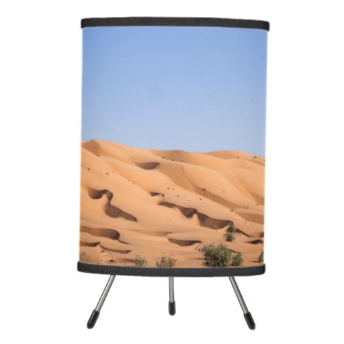 Wahiba Sands desert _ Oman Tripod Lamp