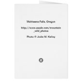 Wahkeena Falls, Oregon Cards (Back)