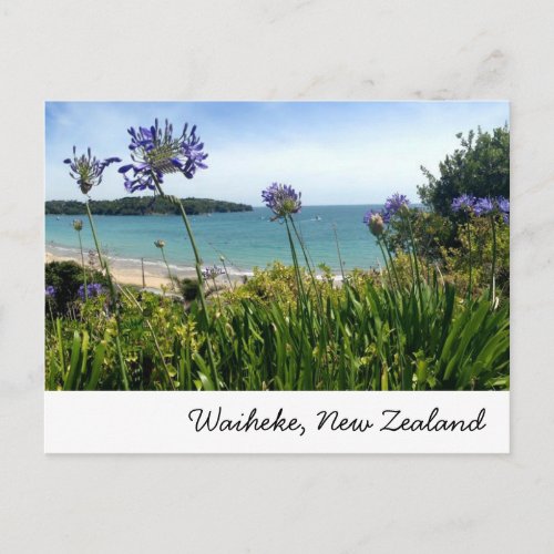Waiheke New Zealand postcard