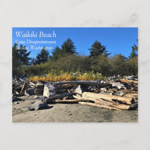 Waikiki Beach, Cape Disappointment, Washington Postcard