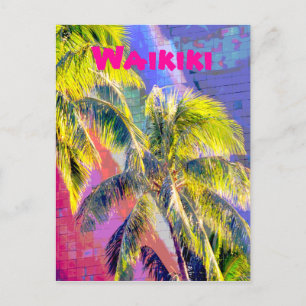 Waikiki Palm Tree Color Postcard