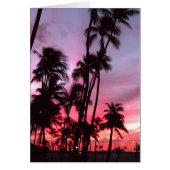 Waikiki Sunset (Front)