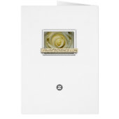 Wailua Falls Kauai Hawaii (Back)