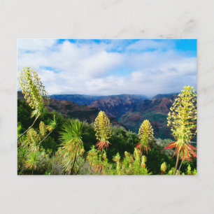 Waimea Canyon   Kauai, Hawaii Postcard