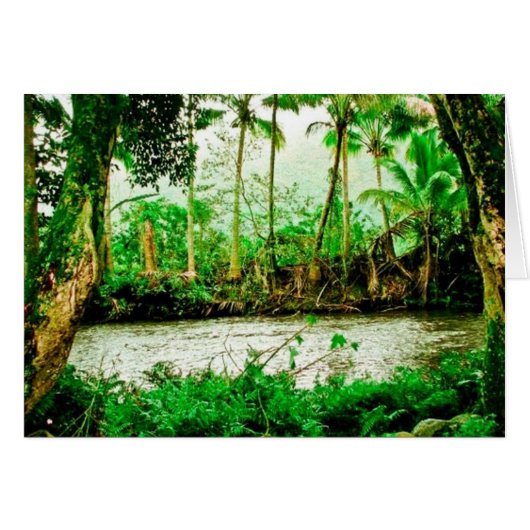 Waipio Valley Cards (Front Horizontal)