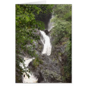 Wairere Falls, Whakatane (Front)