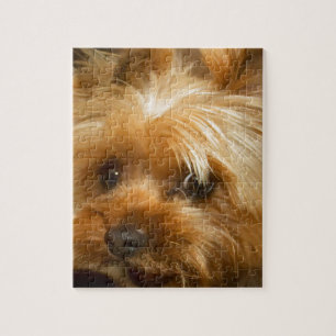 Wait for mom love  haley dog yorkie terrier jigsaw puzzle
