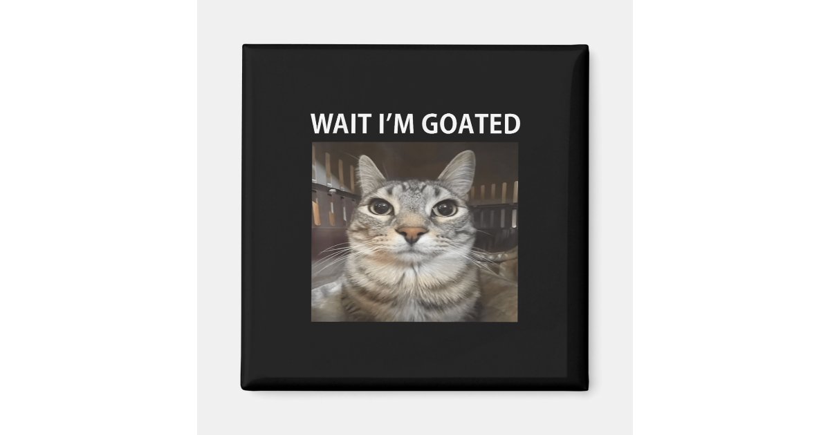 Wait I'm Exploded Wait Im Goated Silly Cat Meme Magnet | Zazzle