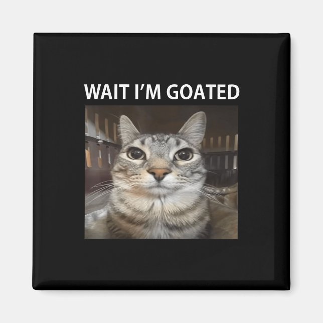 Wait Im Goated Silly Cat Meme  Magnet (Front)