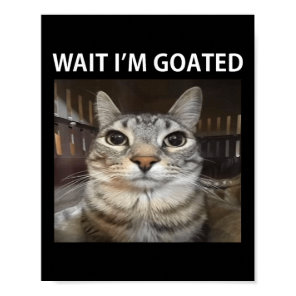 Wait Im Goated Silly Cat Meme  Poster