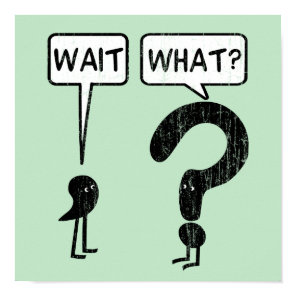 Wait, What? Grammar Humor Poster