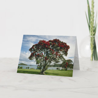 Waitangi, Christmas Tree, New Zealand flower Holiday Card