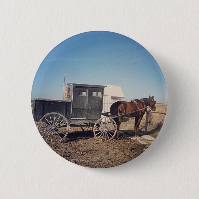 Waiting Amish Horse and Buggy Pinback Button (Front)