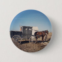 Waiting Amish Horse and Buggy