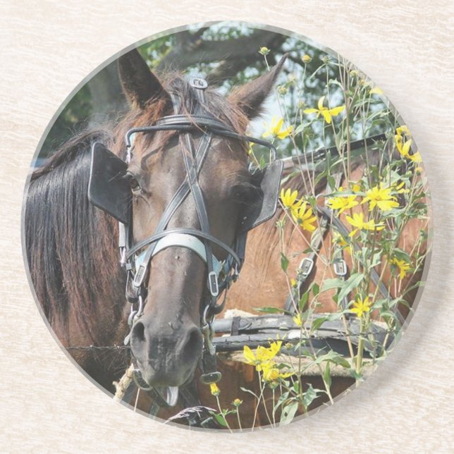 Waiting amish horse coaster (Front)