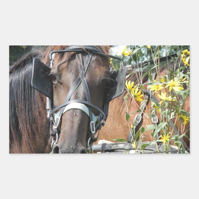 Waiting amish horse rectangular sticker (Front)