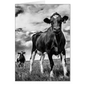 Waiting BW Crop (Front)