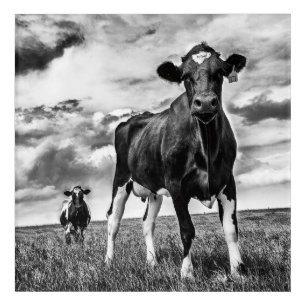 Waiting BW Crop Acrylic Print