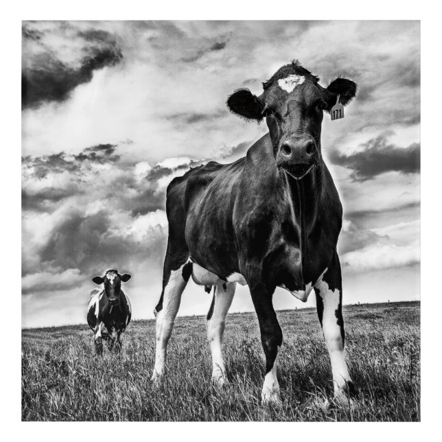 Waiting BW Crop Acrylic Print (Front)