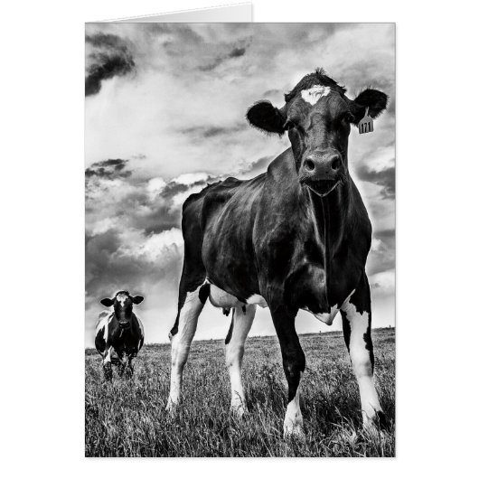 Waiting BW Crop Cards (Front)
