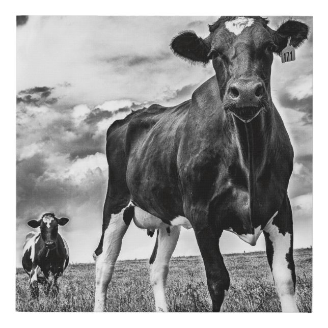 Waiting BW Crop Faux Canvas Print (Front)